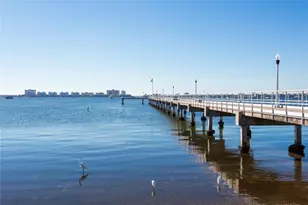 1419 Gray St S, Gulfport, FL 33707 - Photo 47