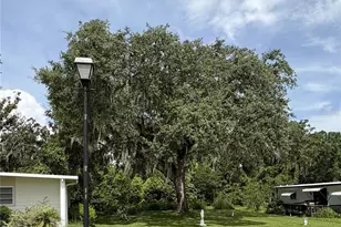 29129 E Johnston Rd, Dade City, FL 33523 - Photo 1