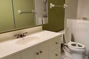 3823 N Oak Dr, Tampa, FL 33611 - Photo 15