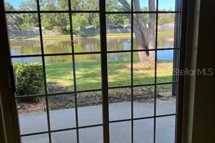 3823 N Oak Dr, Tampa, FL 33611 - Photo 5