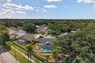 3253 Montrose Cir, Palm Harbor, FL 34684 - Photo 31