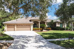 2151 Diamond Ct, Oldsmar, FL 34677 - Photo 75