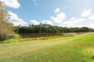 2151 Diamond Ct, Oldsmar, FL 34677 - Photo 59