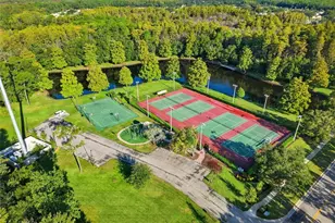 3350 Mermoor Dr, Palm Harbor, FL 34685 - Photo 61