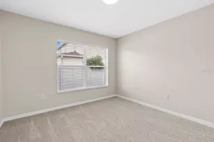 2801 Queen Alberta Dr, Valrico, FL 33596 - Photo 29