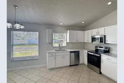 26800 Affirmed Drive, Wesley Chapel, FL 33544 - Photo 5