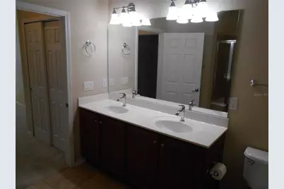 344 Mystic Falls Drive, Apollo Beach, FL 33572 - Photo 47