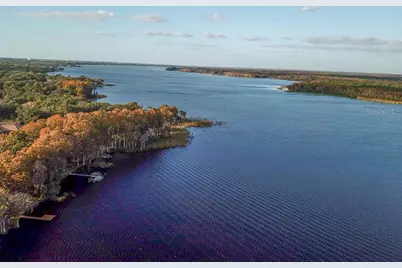 3273 McMath Drive, Palm Harbor, FL 34684 - Photo 53