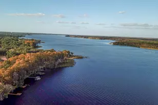 3273 McMath Dr, Palm Harbor, FL 34684 - Photo 53