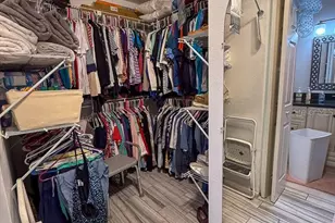 3273 McMath Dr, Palm Harbor, FL 34684 - Photo 23