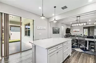 19437 Ship Wheel Wy, Land O Lakes, FL 34638 - Photo 23