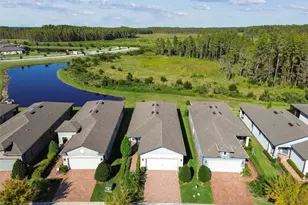 19437 Ship Wheel Wy, Land O Lakes, FL 34638 - Photo 61