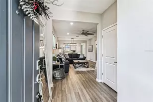 19437 Ship Wheel Wy, Land O Lakes, FL 34638 - Photo 5