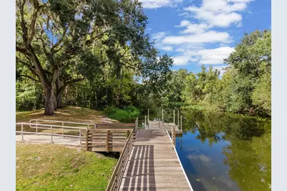 10703 Williams Road, Thonotosassa, FL 33592 - Photo 31