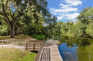 10703 Williams Rd, Thonotosassa, FL 33592 - Photo 31