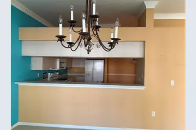 3494 Primrose Way, Palm Harbor, FL 34683 - Photo 13