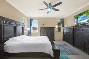 11529 Luckygem Dr, Riverview, FL 33579 - Photo 19