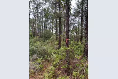 3117 51st Street W, Lehigh Acres, FL 33971 - Photo 1