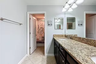 14256 Blue Dasher Dr, Riverview, FL 33569 - Photo 85