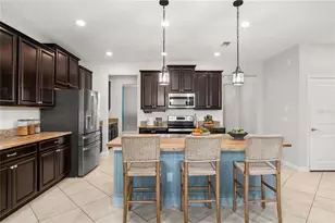 14256 Blue Dasher Dr, Riverview, FL 33569 - Photo 13