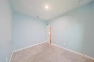 35210 Daisy Meadow Loop, Zephyrhills, FL 33541 - Photo 23