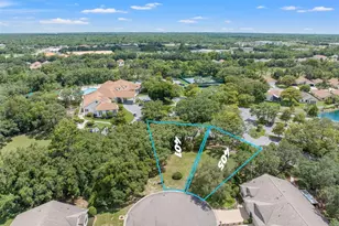 401 & 405 Candlestone Ct, Spring Hill, FL 34609 - Photo 1