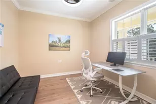 536 Ontario Ave, Crystal Beach, FL 34681 - Photo 7