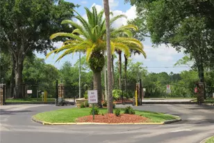 4911 Sunnybrook Dr, New Port Richey, FL 34653 - Photo 23