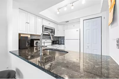 1250 S Pinellas Avenue #711, Tarpon Springs, FL 34689 - Photo 11