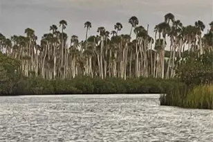 6333 Bear Trail, Weeki Wachee, FL 34607 - Photo 51