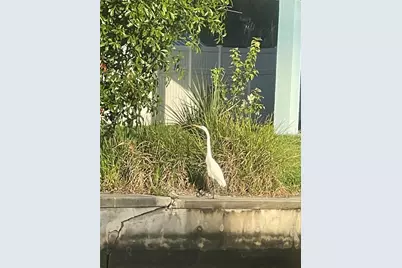 6333 Bear Trail, Weeki Wachee, FL 34607 - Photo 51