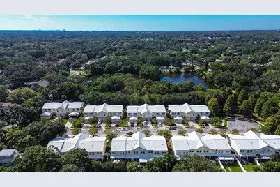 914 Woodbridge Court, Safety Harbor, FL 34695 - Photo 39