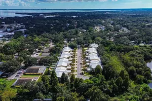 914 Woodbridge Ct, Safety Harbor, FL 34695 - Photo 39