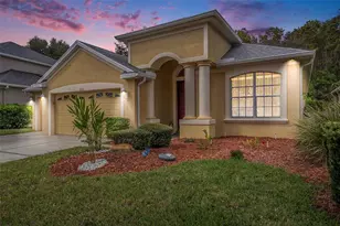 10711 Pearl Berry Loop, Land O Lakes, FL 34638 - Photo 3
