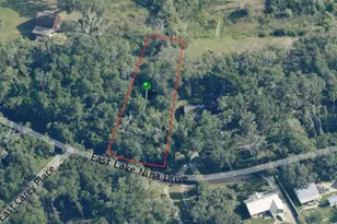 3579 E Lake Nina Dr, Inverness, FL 34453 - Photo 1