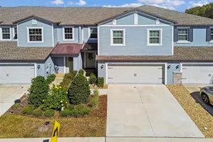 2213 Cerulean Sky Dr, Lutz, FL 33558 - Photo 69