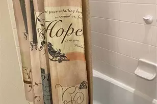 11638 Sweet Tangerine Ln, Tampa, FL 33626 - Photo 9