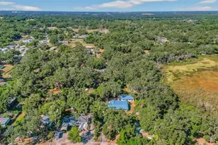 10618 Skewlee Gardens Dr, Thonotosassa, FL 33592 - Photo 59