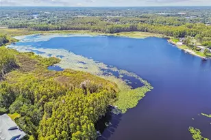 1627 Hammocks Ave, Lutz, FL 33549 - Photo 45