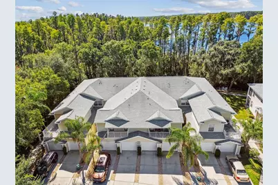 1627 Hammocks Avenue, Lutz, FL 33549 - Photo 51