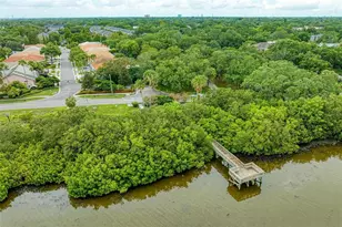 2926 Bayshore Pointe Dr, Tampa, FL 33611 - Photo 63