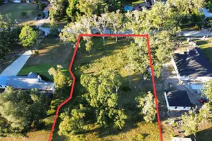 1407 Whitaker Rd, Lutz, FL 33559 - Photo 1