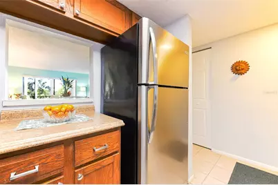 305 Tarpon Point, Tarpon Springs, FL 34689 - Photo 9