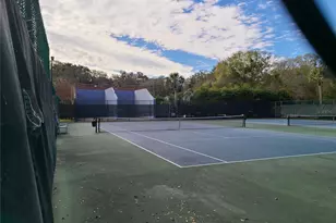 4411 Shady Terrace Ln, Tampa, FL 33613 - Photo 41