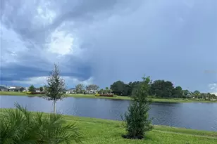 33427 Landsman Loop, Wesley Chapel, FL 33543 - Photo 3