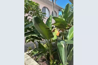 1604 N Osceola Avenue, Clearwater, FL 33755 - Photo 35