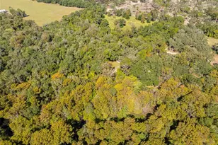 10750 E Sybil Ct, Floral City, FL 34436 - Photo 55