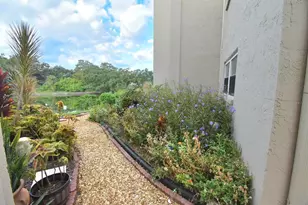 948 Virginia St, Dunedin, FL 34698 - Photo 23