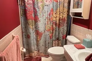 3902 97th Ave N 3902 97th Ave N, Pinellas Park, FL 33782 - Photo 39