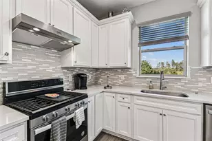 19437 Ship Wheel Wy, Land O Lakes, FL 34638 - Photo 23